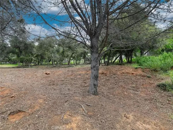 Kelseyville, CA 95451,3218 Skyline