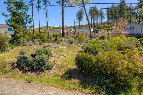 Cobb, CA 95426,14928 Quail