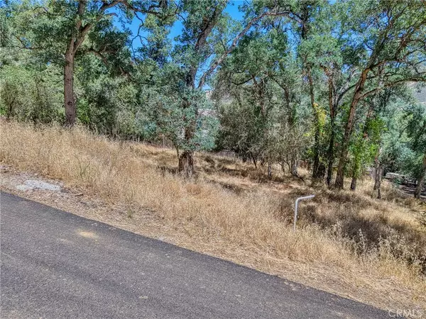Clearlake, CA 95422,13020 Ridge