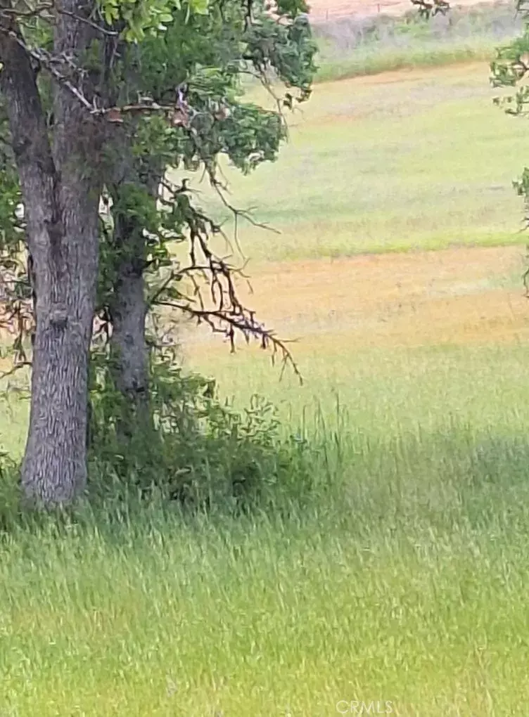 Clearlake, CA 95422,3397 OLEANDER