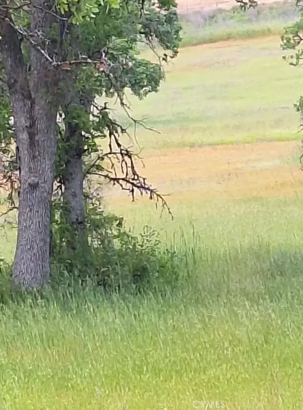 3397 OLEANDER, Clearlake, CA 95422