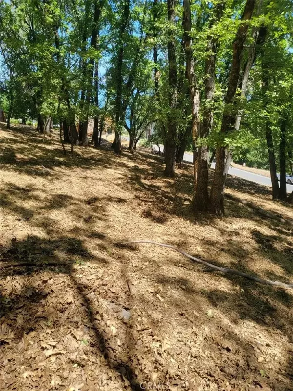 Kelseyville, CA 95451,3059 Riviera Heights