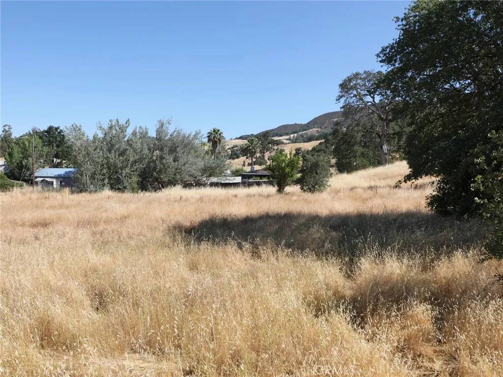Nice, CA 95464,7280 Wilson