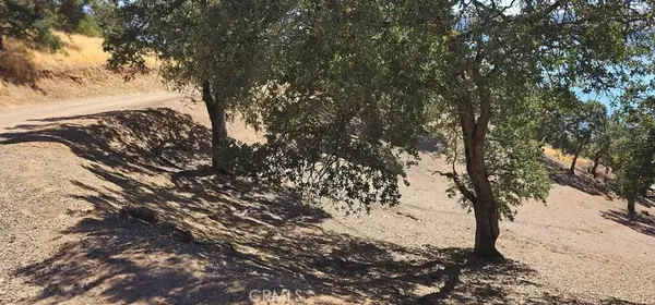 Clearlake Oaks, CA 95423,10981 Pingree