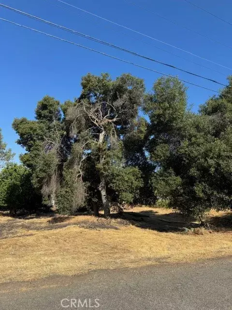 Clearlake, CA 95422,3595 Mountain View