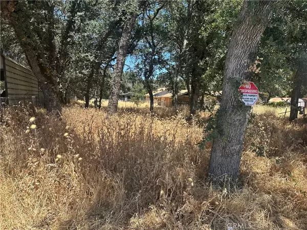 Clearlake, CA 95422,16162 19th