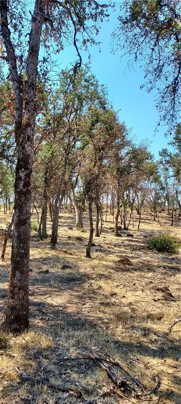 Clearlake, CA 95422,16034 13th