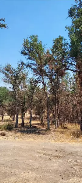 16034 13th, Clearlake, CA 95422