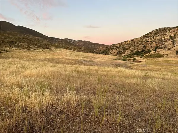 Lower Lake, CA 95457,22368 Jerusalem Grade