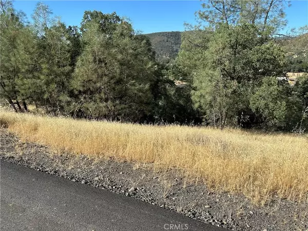 Clearlake Oaks, CA 95423,3265 Wolf Creek