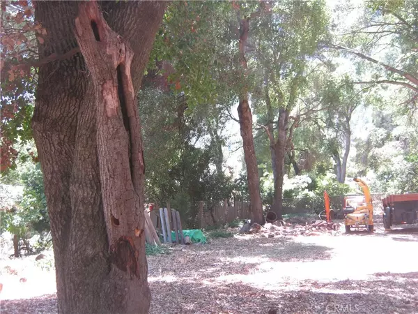 Kelseyville, CA 95451,7979 Buckingham