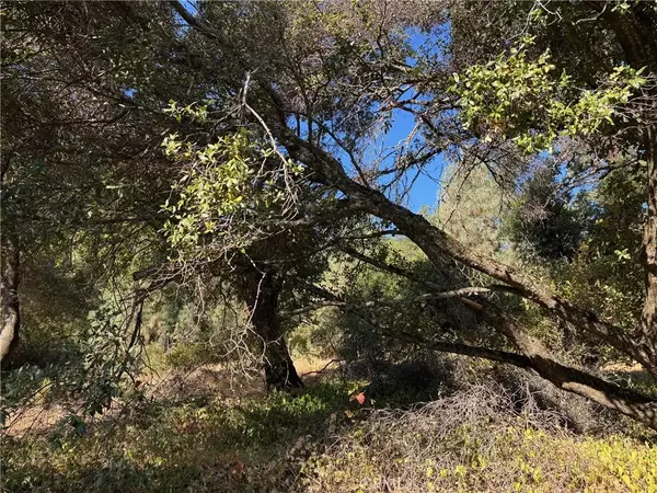 Clearlake Oaks, CA 95423,12588 Widgeon