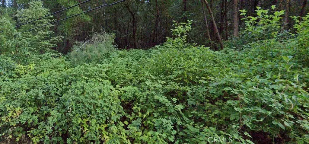 Cobb, CA 95426,15845 Bottle Rock