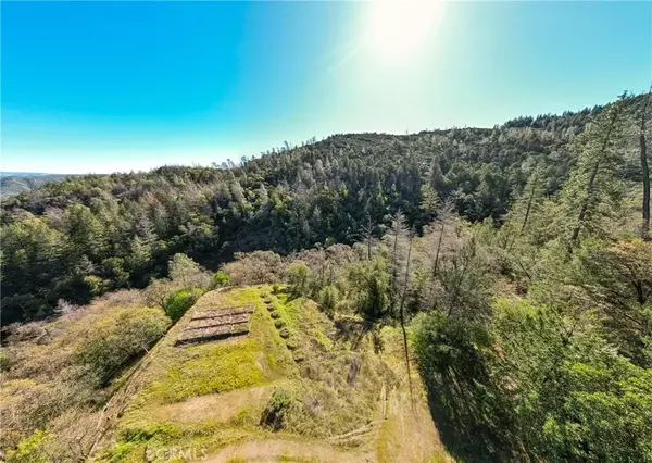 Middletown, CA 95461,14903 Western Mine