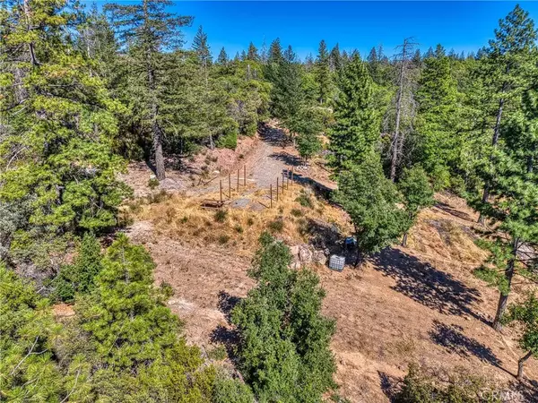 Kelseyville, CA 95451,9489 Diamond Dust