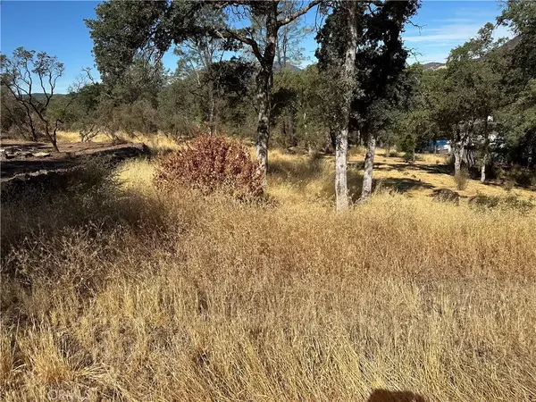 Clearlake, CA 95422,3503 Filmore