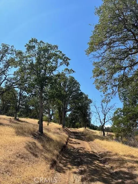 Clearlake Oaks, CA 95423,17055 E. Hwy 20