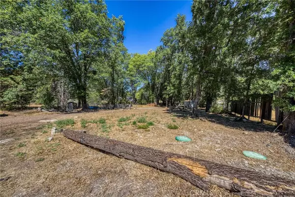 Kelseyville, CA 95451,8216 Saddle Road