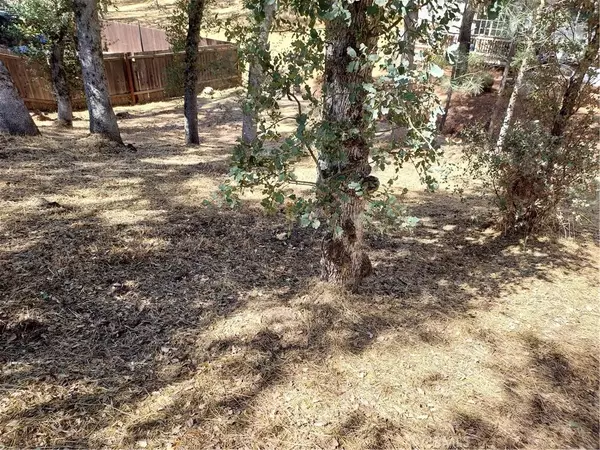 Clearlake, CA 95422,16258 35th