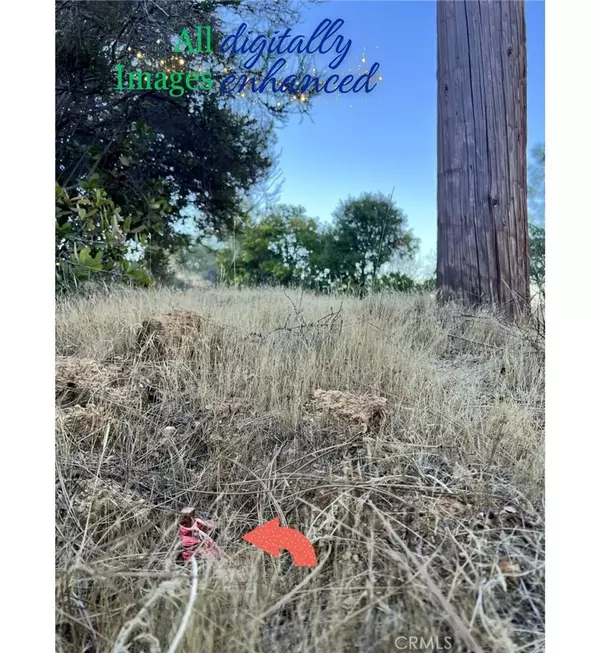 Clearlake Oaks, CA 95423,12230 Cerrito