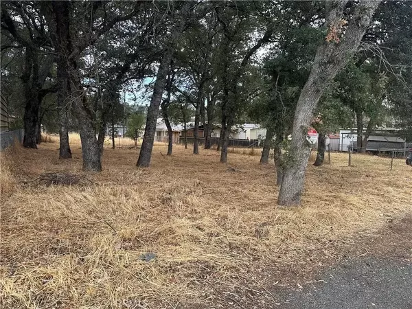 Clearlake, CA 95422,16162 19th