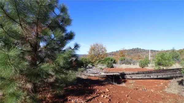 Cobb, CA 95426,15530 Sugar Pine