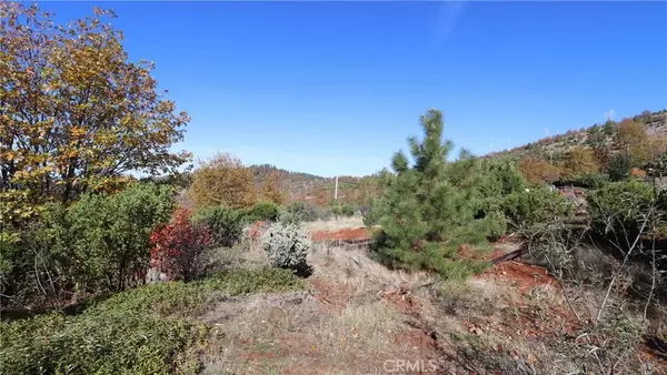 Cobb, CA 95426,15530 Sugar Pine