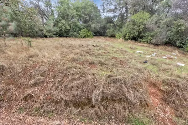 Clearlake Oaks, CA 95423,12636 Lakeview