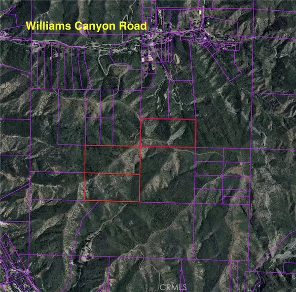Silverado Canyon, CA 92676,60 Williams Canyon