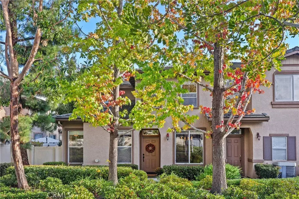 Aliso Viejo, CA 92656,38 Red Bud