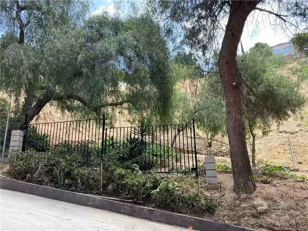 Los Angeles, CA 90065,1539 N Cliff