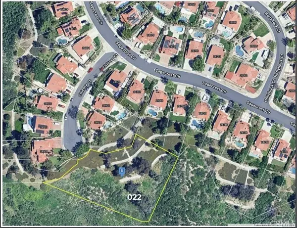 Stevenson Ranch, CA 91381,0 Chicory