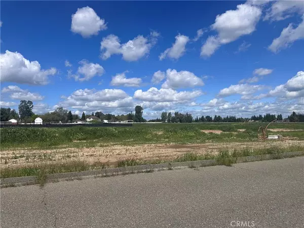 Atwater, CA 95301,1 White Crane