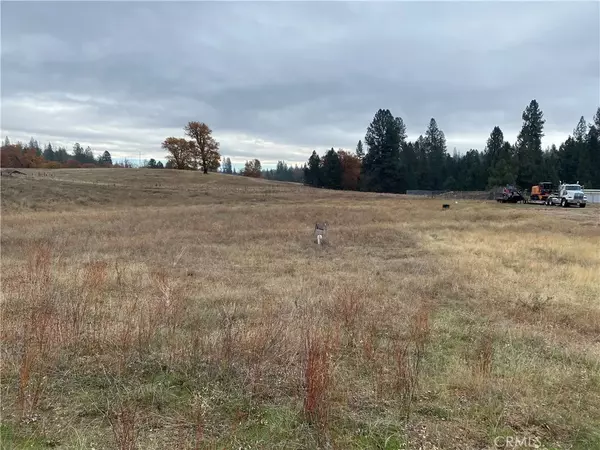 Coulterville, CA 95311,6434 Greeley Hill