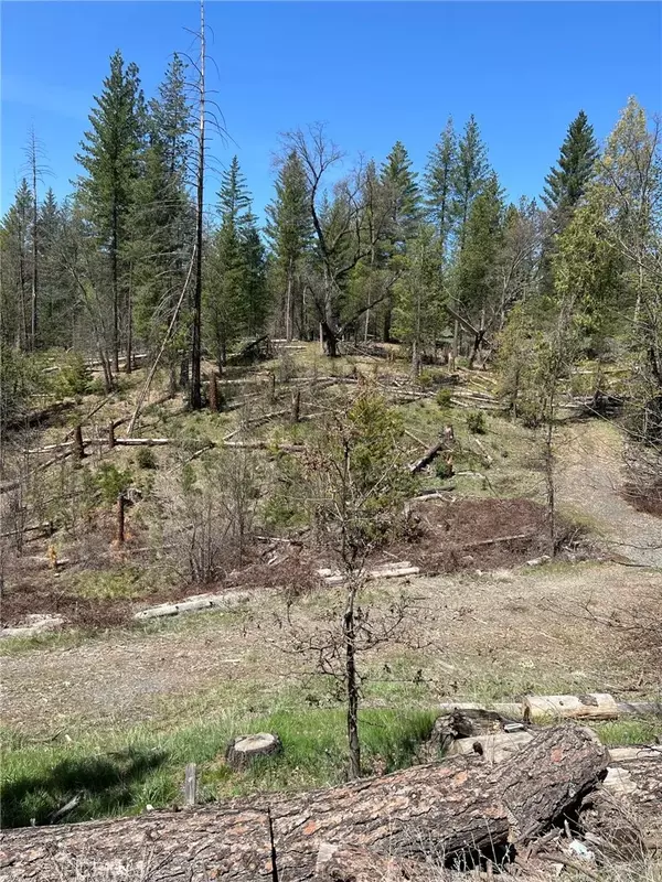 6493 Greeley Hill, Coulterville, CA 95311