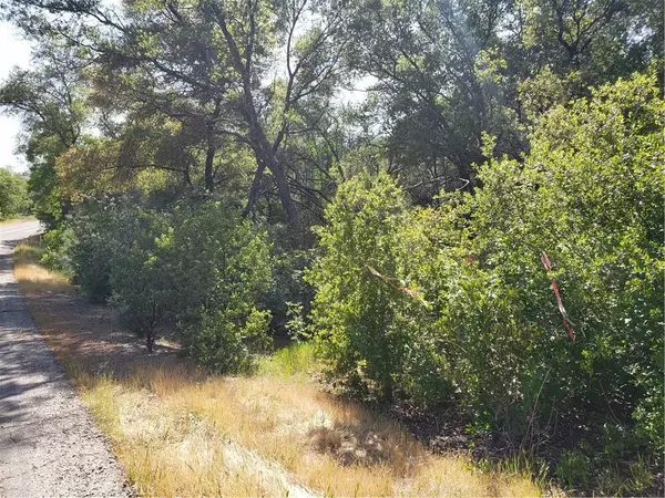 Coulterville, CA 95311,3241 Chicharra