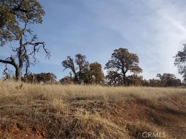 Coulterville, CA 95311,14000 Cadena