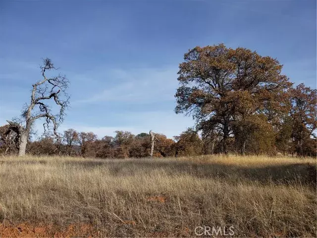 14000 Cadena, Coulterville, CA 95311