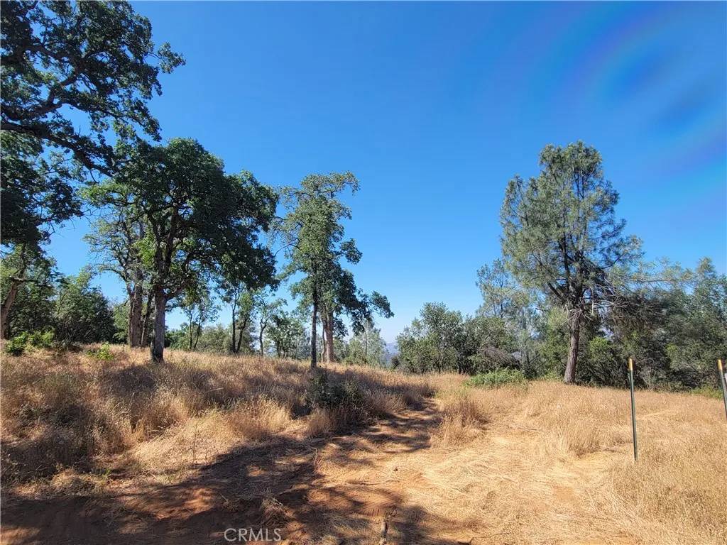 Mariposa, CA 95338,5587 Alta Vista