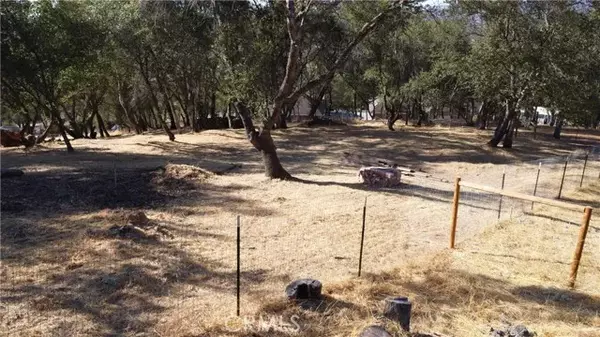 Copperopolis, CA 95228,2989 Bow