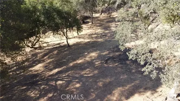 Copperopolis, CA 95228,2989 Bow