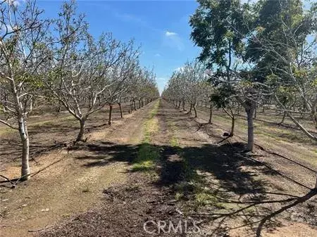 Merced, CA 95341,1081 E Gerard