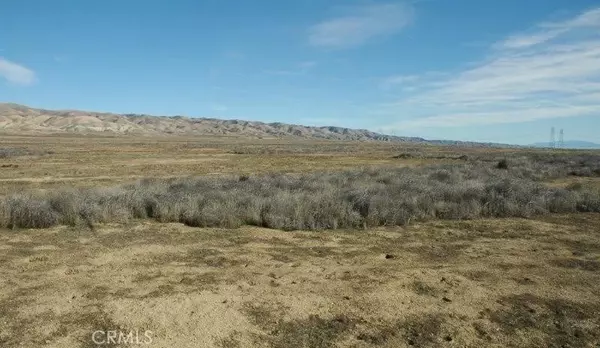 Santa Margarita, CA 93453,0 Bellflower