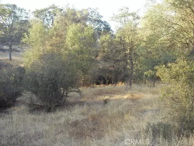 Coulterville, CA 95311,10357 Tulipan