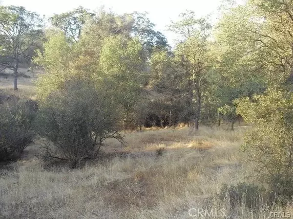 10357 Tulipan, Coulterville, CA 95311