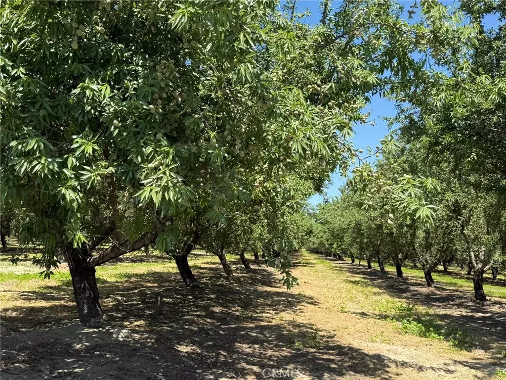 Livingston, CA 95334,0 Sunset