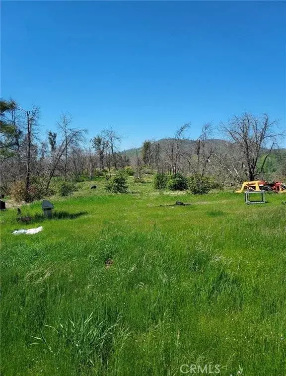 Mariposa, CA 95338,3109 Wild Dove