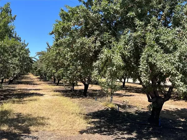 Delhi, CA 95315,7149 Marianna