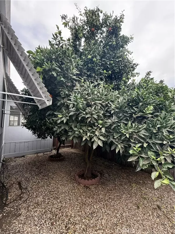 Hilmar, CA 95324,19960 American Ave #35