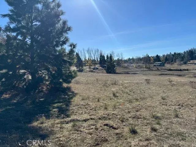 10258 Holtzel, Coulterville, CA 95311